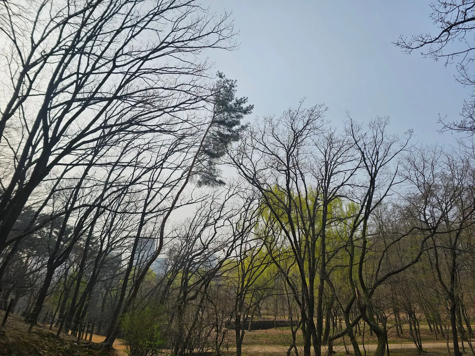 햇살이 비치는 산책길을 따라 천천히 걷기 시작하는 디디