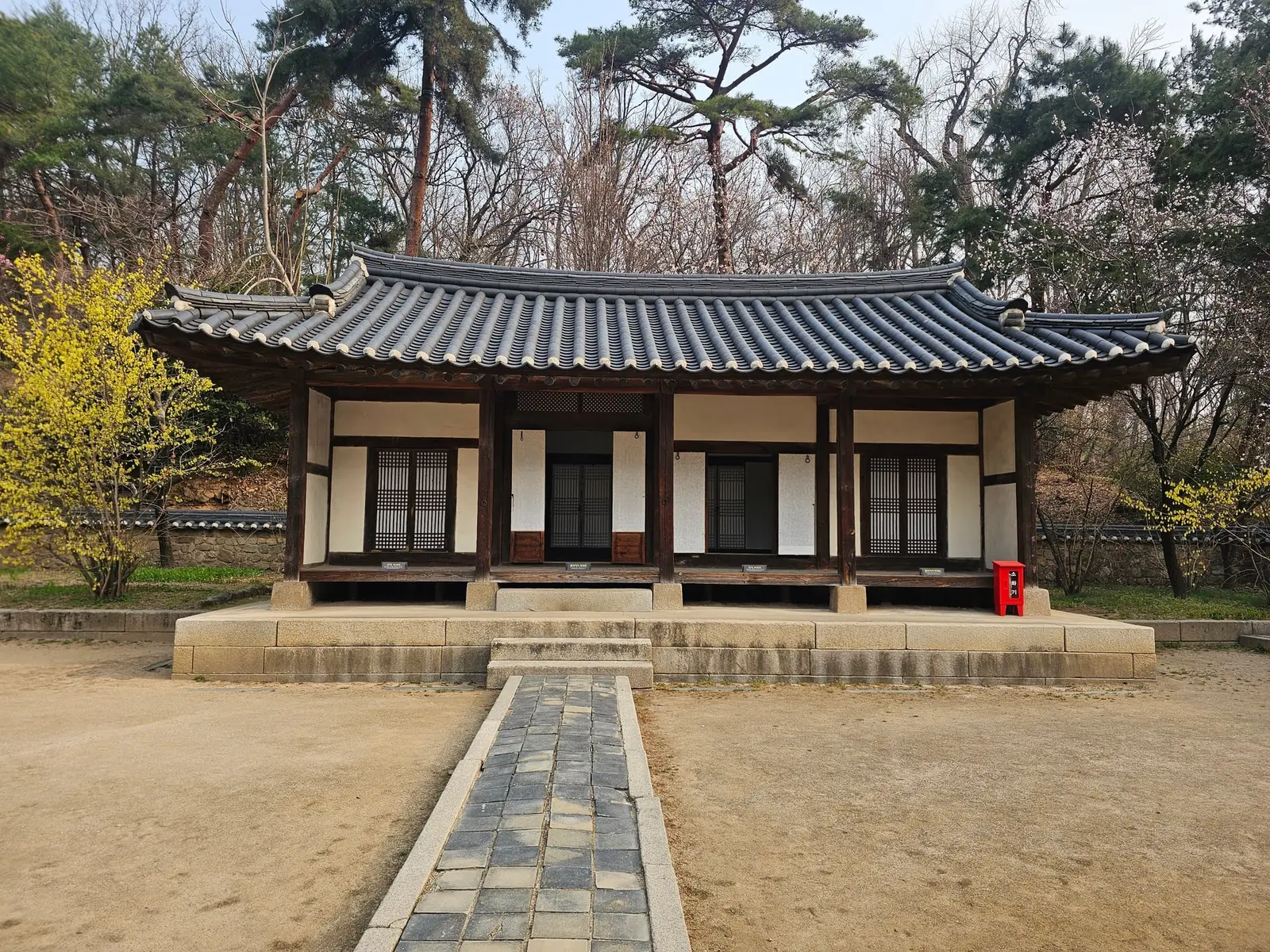 울퉁불퉁한 돌길을 또박또박 걸어가는 디디의 뒷모습