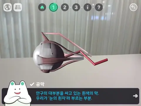 WAGZAK JUMP real-world AR screen 3