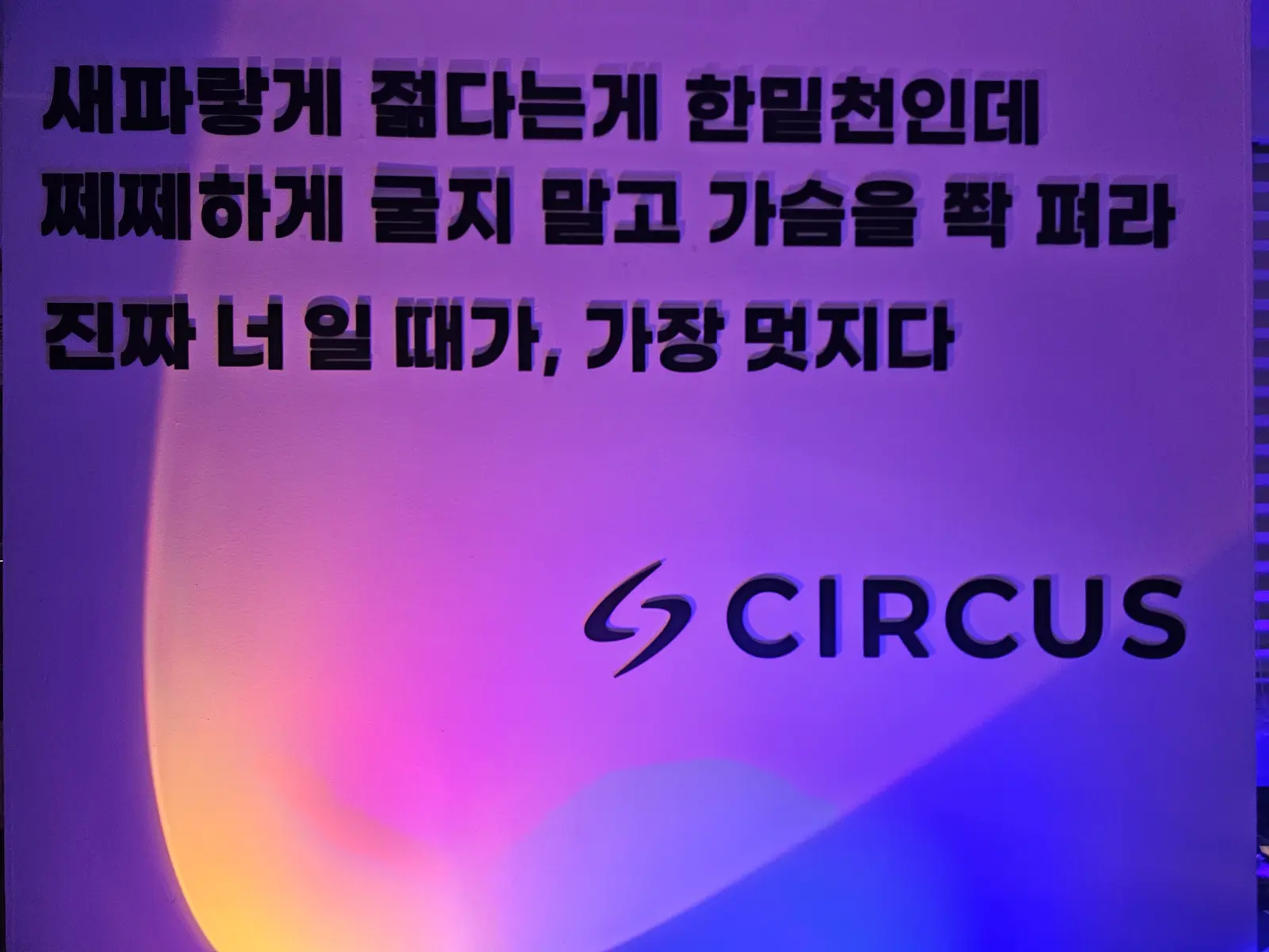 Věta napsaná na zdi studia Circus Company a logo CIRCUS